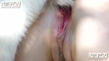 Blonde babe sucks that cock and gets pounded too