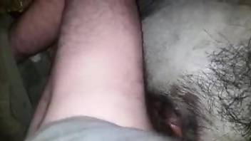 Rough doggy style drilling with a horny doggo