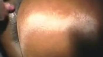 Guy roughly pounding a mare's soaked cunt from the back