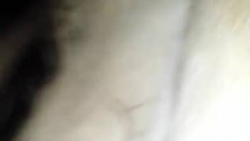 Guy plunges his pulsing dick into a mare's dripping snatch