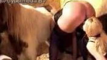 Incredible porn featuring a bitch from the barn