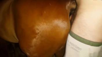 Guy rams his bushy cock into a alluring vixen