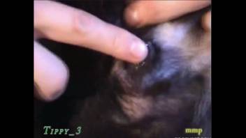 Guy banging a tiny black pup in a steamy adult clip