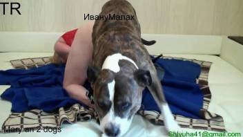 MILF with a bloody pussy getting drilled by a dog