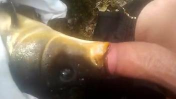 Dude fucks a dead fish in a strange zoo sex video