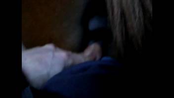 A guy has intercourse with a female horse from the rear in a first-person animal video