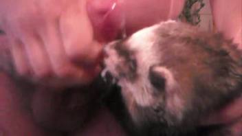 Chubby guy delivers a pleasant facial to this hot ferret