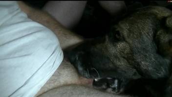 Dude with a thick cock lets a black dog to suck him