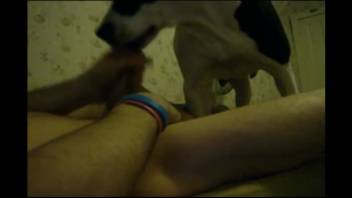 Guy deepthroating a hot wild chick with his rigid cock