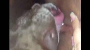 Compilation of masturbation and bestiality cunnilingus