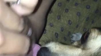 Moist bestiality slit getting satisfied by a puppy