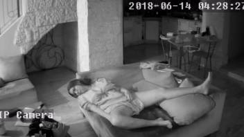 Hidden camera video featuring a canine-enthusiast homemaker