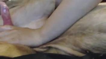 Chubby girl with great boobs bouncing on a hot dick