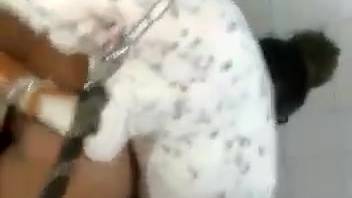 Domestic bestiality in wild scene assortments