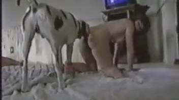 Intense footage of extreme canine homemade erotica live on webcam