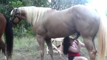 Dark-haired beauty savoring intense lovemaking with a well-hung stallion