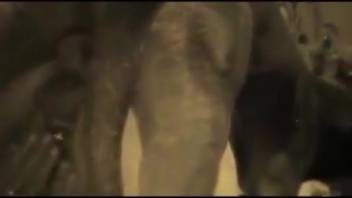 Thrilling intimate footage featuring a lustful MILF and her pet dog