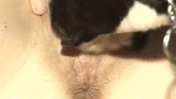 Naughty flat-chested babe gets thoroughly pounded by a canine
