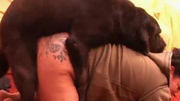 Tatted-up MILF with a hairy cunt gets fucked by a dog