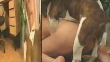 Fiery-haired vixen pounded by a twisted beast
