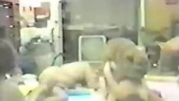 Stockings-wearing hottie fucks a dog in a retro video