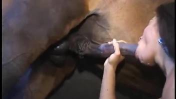 Horse cock getting pleasured in a hot porno movie