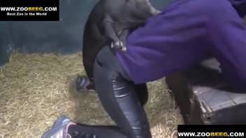 Torn jeans babe being banged by a freaky swine
