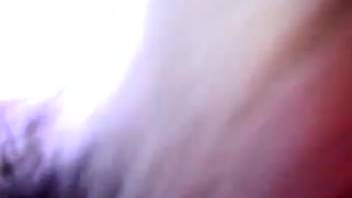 Barnyard creature is rectally penetrated by a bestiality lover