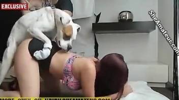 Redheaded amateur submits to a sexy-looking animal
