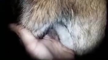 Intimate bestiality sex clip you'll absolutely adore