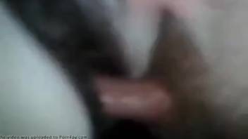 Guy's stiff dick glides into that soaked filly