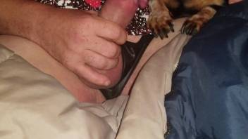 Guy allows a hot beast to blow his stunning dick