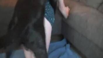 Redhead moans on cam with a dog fucking her well