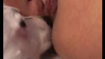 Sexy creature licking a zoophile's pussy up close