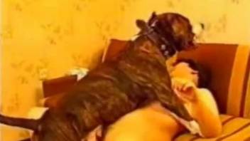 Dog humps naked beauty in the pussy and ass while she screams