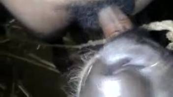 Man employs his bushy dick to pound the monster's gullet