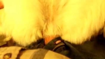 Narrow opening stretched wide by a rigid dick from personal view