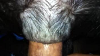Guy's stiff dick pierces that bitch's narrow snatch