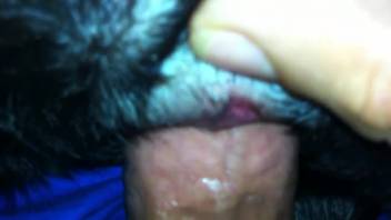 Guy with an erect penis screwing a super hot beast