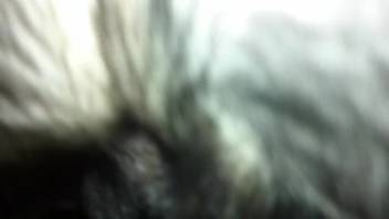 Guy aggressively banging his beast in a perverted point-of-view clip