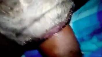 Man employing his splendidly rigid dick to bang a canine