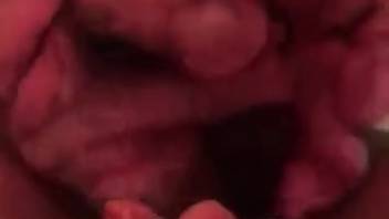 Filthy mutt shoves its snout into this chick's soaked snatch