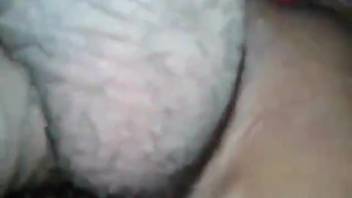 Guy's narrow anus is savagely pounded by a canine
