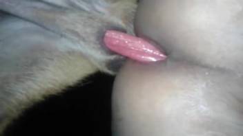 Anal romp with an incredibly hot vixen