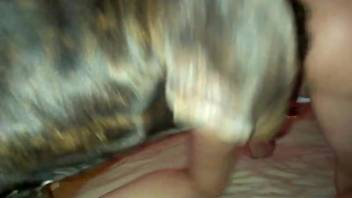 Intense sex clip starring a wedded whore and a canine