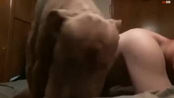 Huge ass animal-fucker guy gets roughly drilled by a monster