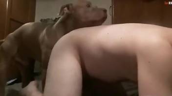 Sexy zoophile railed by a big-dicked beast from behind