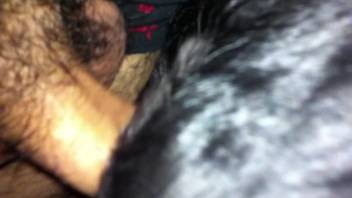Naked beastly romps with furry creatures for the eager novice
