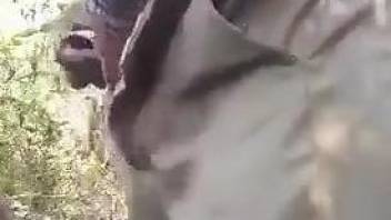 Dude dominates a dog's pussy in an outdoor sex video
