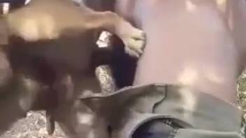 Guy controls a female dog's vagina in an outdoor porn clip